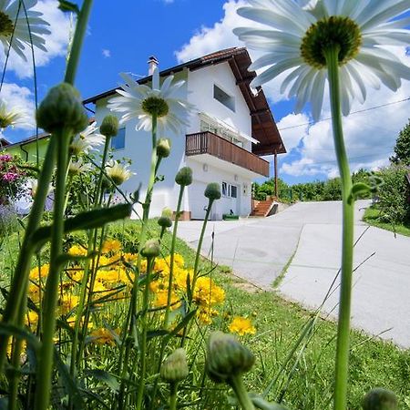 Apartment Bastaja Слунь Екстер'єр фото